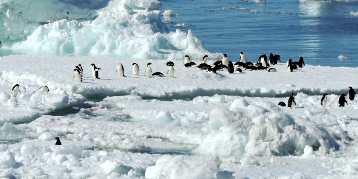 antarctic-7073361_1280