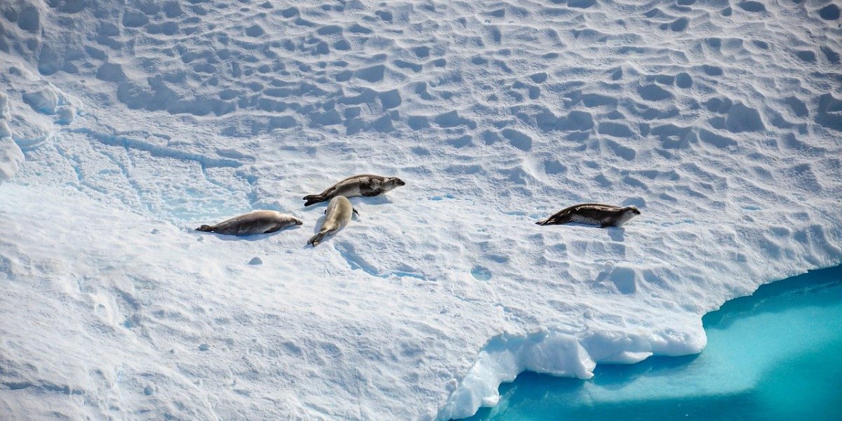 antarctica-8109879_1280