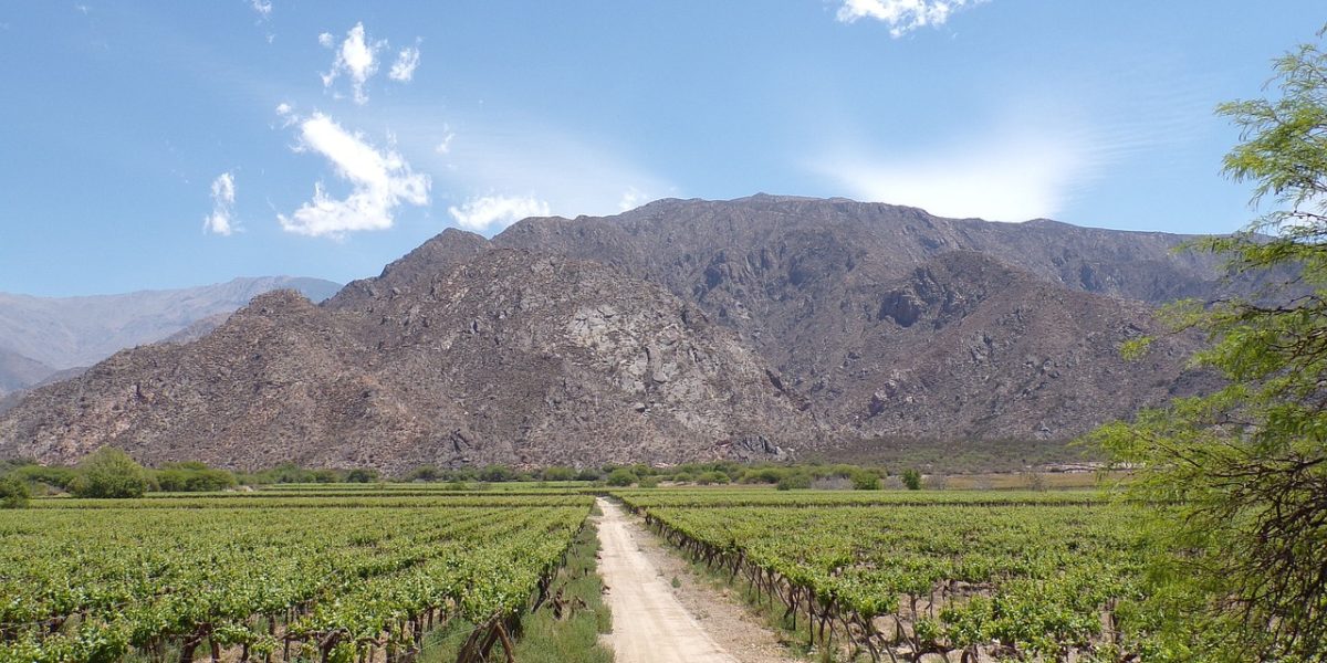 cafayate-2633150_1280