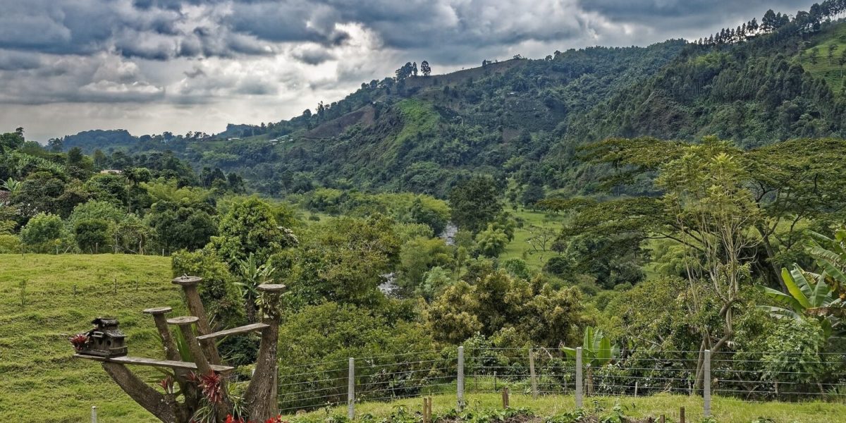 colombia-4919360_1920