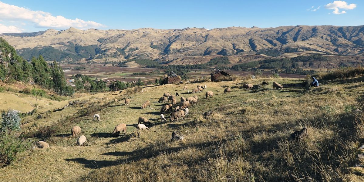 sacred-valley-563123_1280